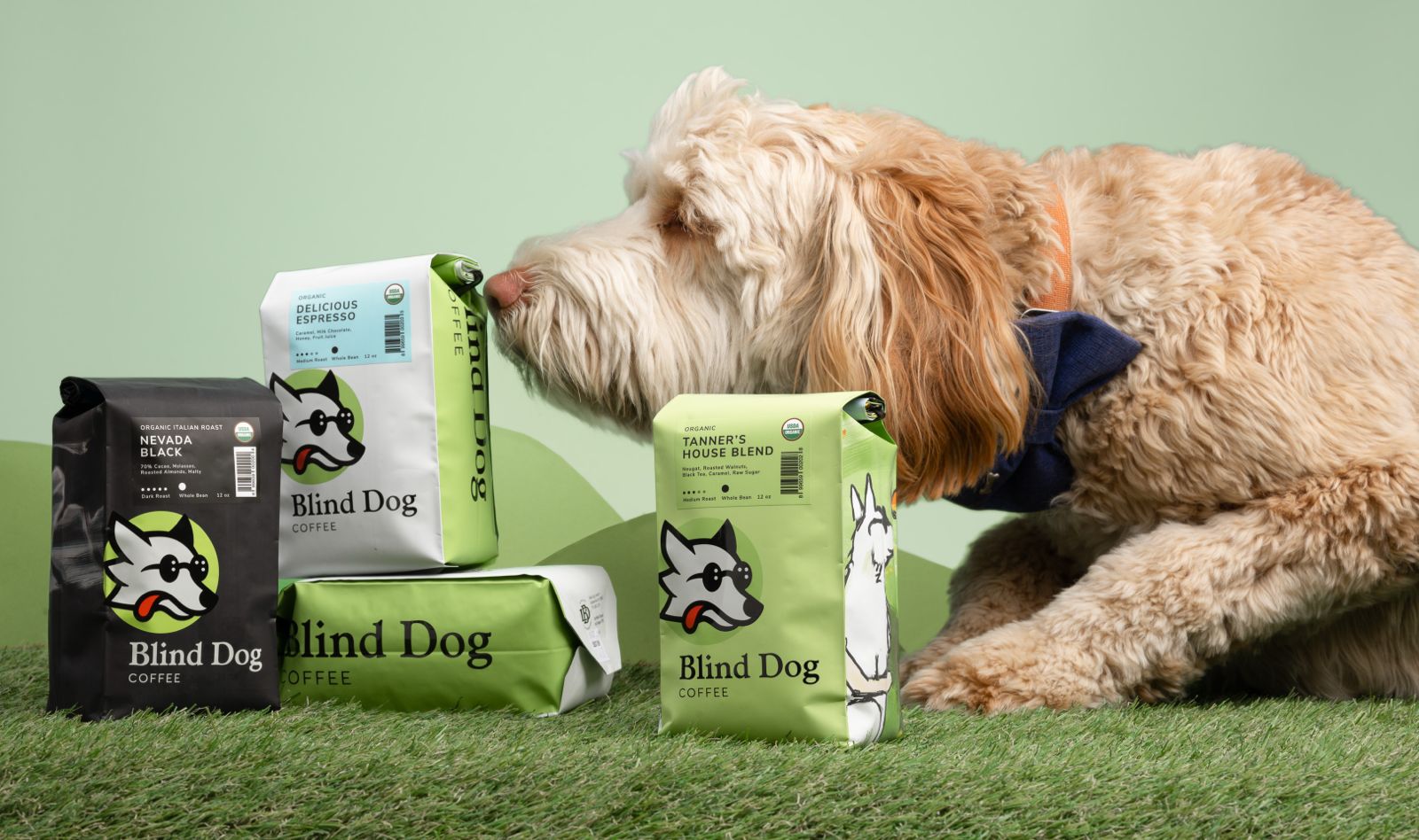 The Best Low-Acid Coffee for Sensitive Stomachs