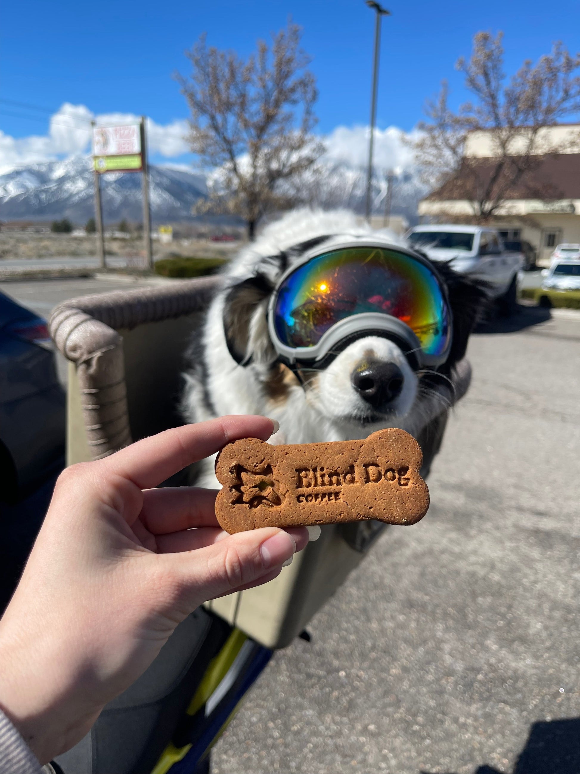 Dog Biscuits Box (20 ct) - Blind Dog Coffee