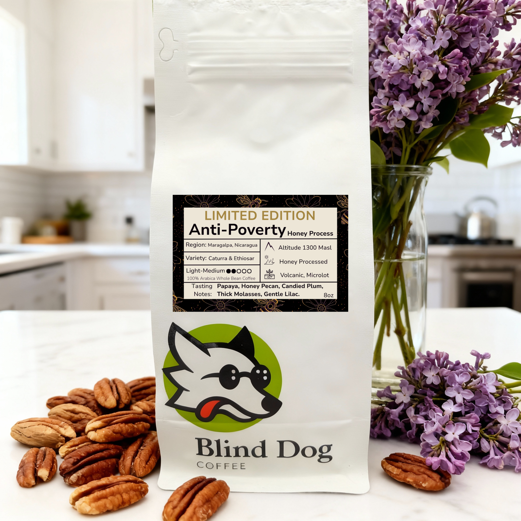 Anti-Poverty Nicaragua