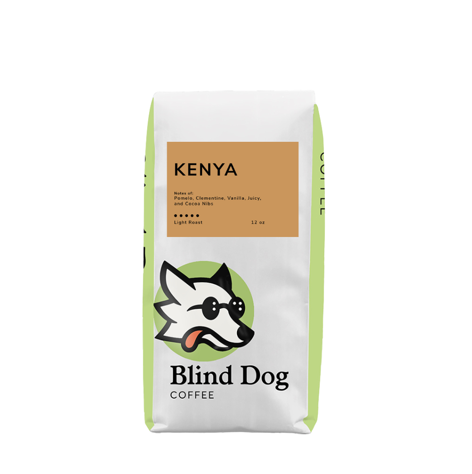 Blind Cane – Dynamic Kenya